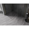 Mexen Kioto-X paroi de douche Walk-in 130 x 110 cm, transparent 10 mm, doré - 800-130-202-50-00-110-X