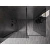 Mexen Kioto-X paroi de douche Walk-in 100 x 100 cm, transparent 10 mm, gris acier brossé - 800-100-202-66-00-100-X