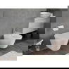 Mexen Rico cuvette wc sans bride Tornado avec abattant à descente lente, duroplast, blanc brillant - 30720200T