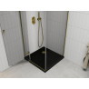 Mexen Roma cabine de douche battante 80 x 80 cm, transparente, or + receveur plat, noir - 854-080-080-50-00-4070G