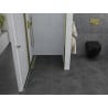 Mexen Pretoria porte de douche battante 90 cm, transparent, doré - 852-090-000-50-00