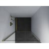 Mexen Pretoria porte de douche battante 90 cm, transparent, doré - 852-090-000-50-00