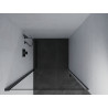 Mexen Pretoria porte de douche battante 70 cm, transparent, noir - 852-070-000-70-00