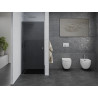 Mexen Pretoria portes de douche pivotantes 90 cm, graphite, chrome - 852-090-000-01-40