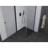 Mexen Pretoria cabine de douche battante 90 x 90 cm, transparent, noir - 852-090-090-70-00