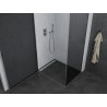 Mexen Pretoria cabine de douche battante 80 x 100 cm, graphite, chrome - 852-080-100-01-40