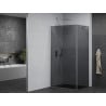 Mexen Pretoria cabine de douche pivotante 80 x 110 cm, graphite, chrome - 852-080-110-01-40