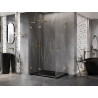 Mexen Lunar L Duo cabine de douche pivotante gauche 120 x 115 cm, transparent, or - 834L-120L-115P-50-00