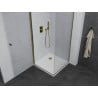 Mexen Pretoria cabine de douche pivotante 80 x 80 cm, transparente, or + receveur plat - 852-080-080-50-00-4010
