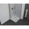 Mexen Pretoria cabine de douche pivotante 80 x 80 cm, transparente, or + receveur plat - 852-080-080-50-00-4010