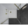 Mexen Pretoria cabine de douche battante 90 x 90 cm, transparente, dorée + receveur de douche Flat - 852-090-090-50-00-4010