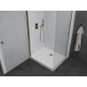 Mexen Pretoria cabine de douche pivotante 70 x 80 cm, transparente, dorée + receveur plat - 852-070-080-50-00-4010