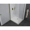 Mexen Pretoria cabine de douche pivotante 70 x 100 cm, transparent, or + receveur plat - 852-070-100-50-00-4010