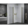 Mexen Pretoria Duo cabine de douche pivotante 70 x 70 cm, transparente, dorée - 852-070-070-50-00-02