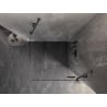 Mexen Lunar cabine de douche pivotante droite 100 x 100 cm, transparent, gris acier brossé - 834-100-100-66-00-P