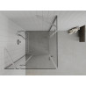 Mexen Roma Duo cabine de douche pivotante 90 x 90 cm, transparent, chrom - 854-090-090-02-00