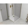 Mexen Roma cabine de douche pivotante 90 x 90 cm, transparente, dorée + bac de douche Flat - 854-090-090-50-00-4010