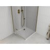 Mexen Roma cabine de douche pivotante 90 x 90 cm, transparente, dorée + bac de douche Flat - 854-090-090-50-00-4010