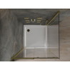 Mexen Omega cabine de douche coulissante 100 x 100 cm, transparente, dorée + receveur plat - 825-100-100-50-00-4010
