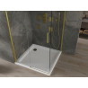 Mexen Omega cabine de douche coulissante 100 x 100 cm, transparente, dorée + receveur plat - 825-100-100-50-00-4010