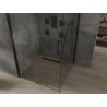 Mexen Omega cabine de douche coulissante 100 x 100 cm, transparent, noir - 825-100-100-70-00