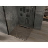 Mexen Omega cabine de douche coulissante 100 x 100 cm, transparente, noire - 825-100-100-70-00