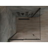 Mexen Omega cabine de douche coulissante 100 x 100 cm, transparente, noire - 825-100-100-70-00