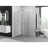 Mexen Exo-S cabine de douche coulissante 95 x 95 cm, transparent, chrome - 8151-095-095-01-00