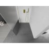 Mexen Kioto paroi de douche Walk-in 100 x 200 cm, transparent/givré 8 mm, or - 800-100-101-50-35