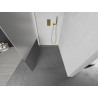 Mexen Kioto paroi de douche Walk-in 120 x 200 cm, transparent/givré 8 mm, dorée - 800-120-101-50-35