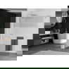 Mexen Kioto+ paroi de douche avec étagère Walk-in 80 x 200 cm, transparent/verre dépoli, chromé - 800-080-121-01-35