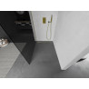 Mexen Kioto paroi de douche Walk-in 120 x 200 cm, graphite 8 mm, doré - 800-120-101-50-40