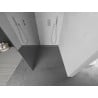 Mexen Kioto paroi de douche Walk-in 70 x 200 cm, miroir 8 mm, chrome - 800-070-101-01-50
