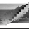 Mexen Kioto+ paroi de douche avec étagère Walk-in 80 x 200 cm, motif blanc, chrome - 800-080-121-01-85