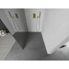 Mexen Kioto paroi de douche Walk-in 140 x 200 cm, miroir 8 mm, dorée - 800-140-101-50-50