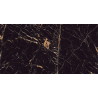 Mexen Python Gold grès émaillé rect. G1, carreau sol-mural 120 x 60 cm, haute brillance - TL212-120-060-00
