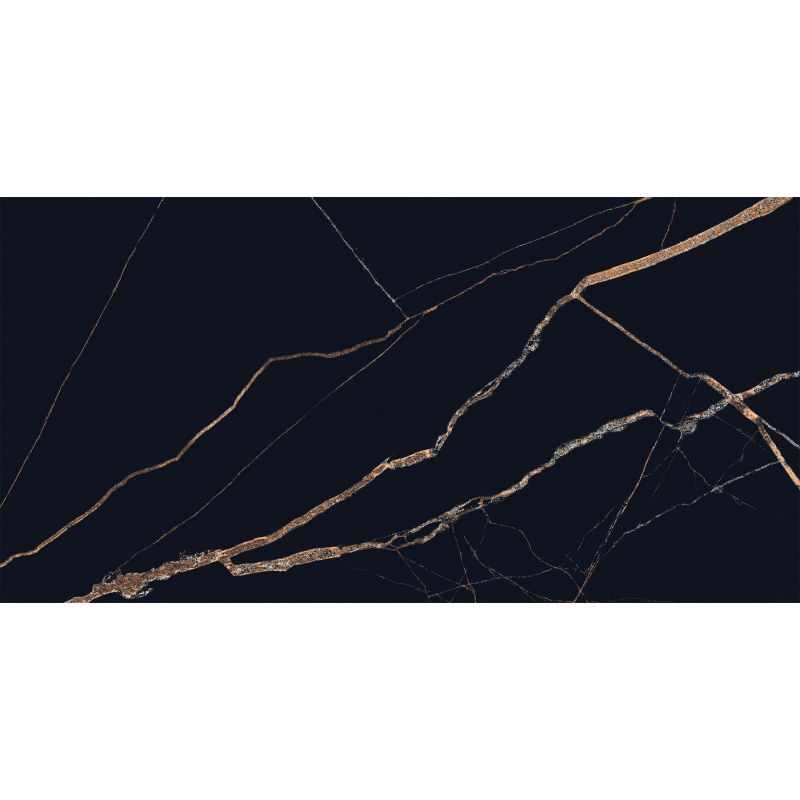 Mexen Fossil Black grès émaillé rectifié G1, carreau sol-mur 120 x 60 cm, haute brillance - TL213-120-060-00