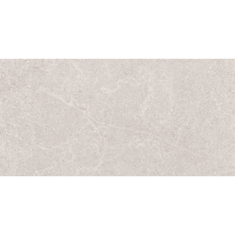 Mexen Semars Sliver grès émaillé rectifié G1, carreau de sol et mural 120 x 60 cm, mat - TL305-120-060-04