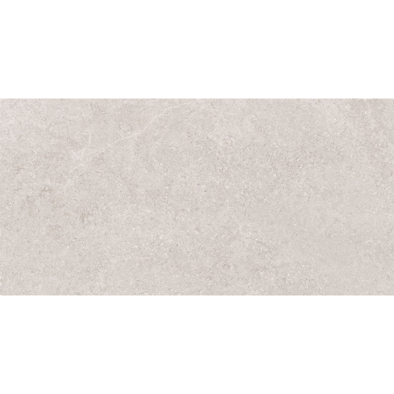 Mexen Semars Sliver grès émaillé rectifié G1, carreau sol-mur 120 x 60 cm, mat - TL305-120-060-04