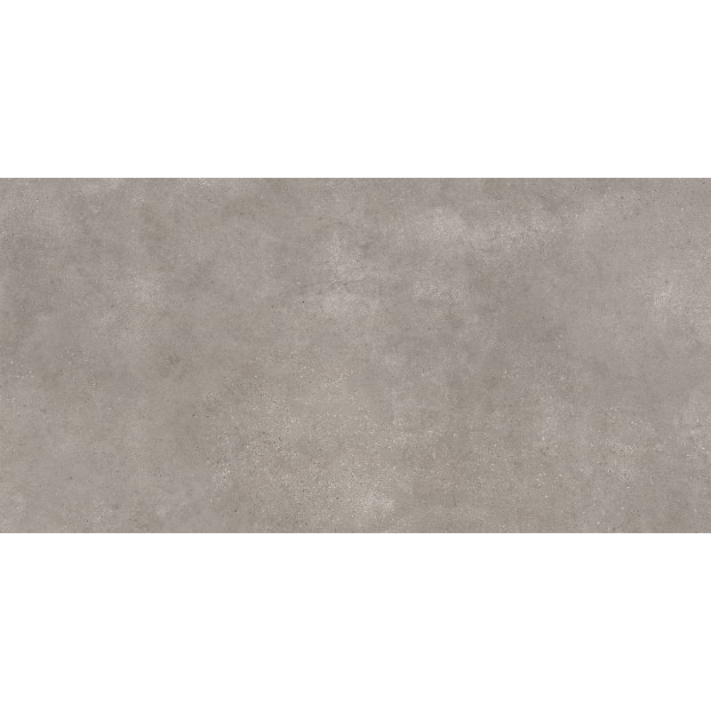 Mexen District Gris grès émaillé rectifié G1, carreau sol-mur 120 x 60 cm, mat - TL308-120-060-02