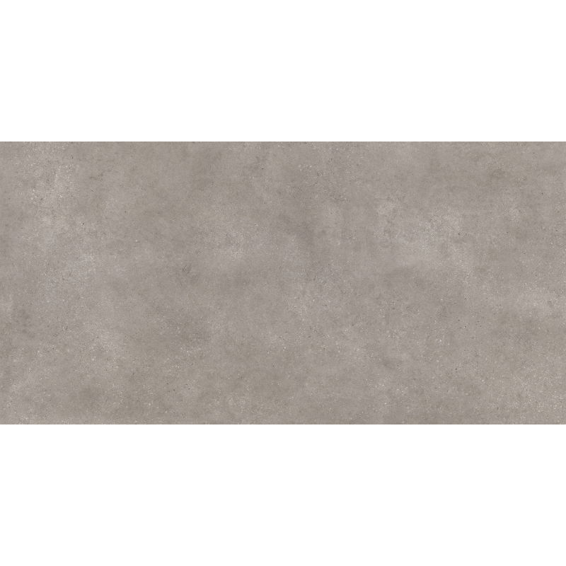 Mexen District Gris grès émaillé rectifié G1, carreau sol-mur 120 x 60 cm, mat - TL308-120-060-02