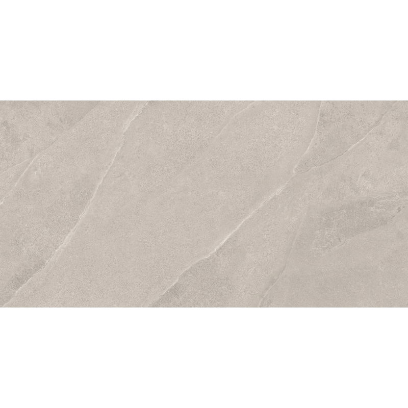 Mexen Aryan Silver grès émaillé rect. G1, carreau sol-mur 120 x 60 cm, mat - TL310-120-060-05