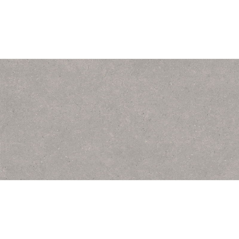 Mexen Monaco Grey grès émaillé rectifié G1, carreau sol-mur 120 x 60 cm, mat - TL313-120-060-02