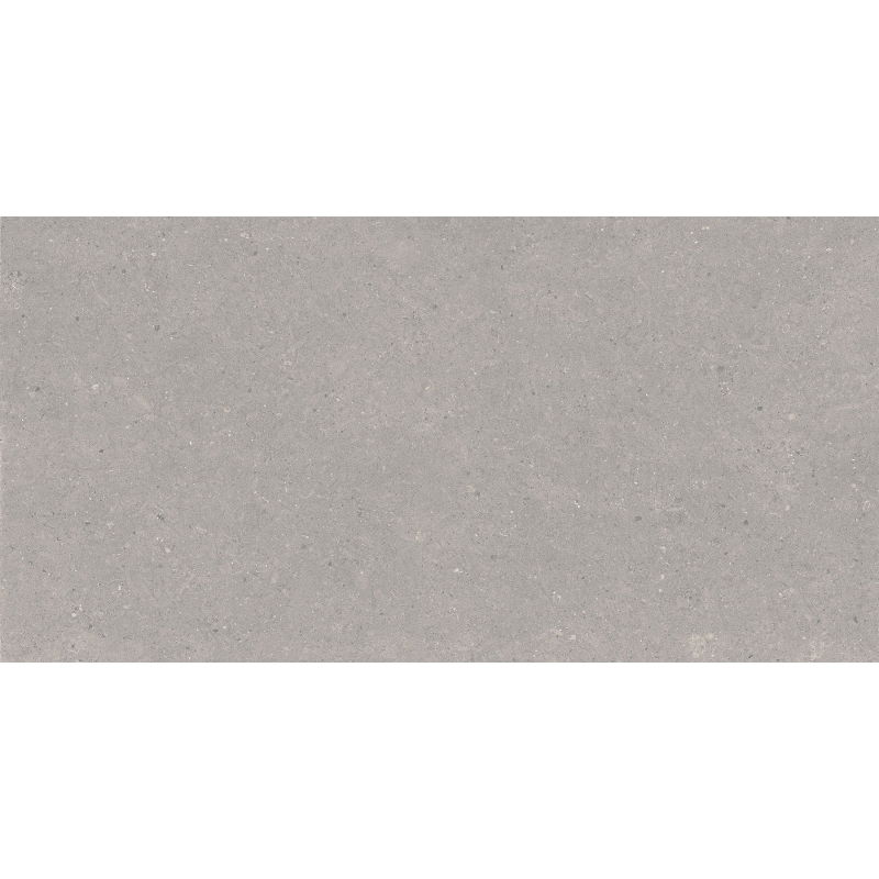 Mexen Monaco Grey grès émaillé rectifié G1, carreau sol-mur 120 x 60 cm, mat - TL313-120-060-02