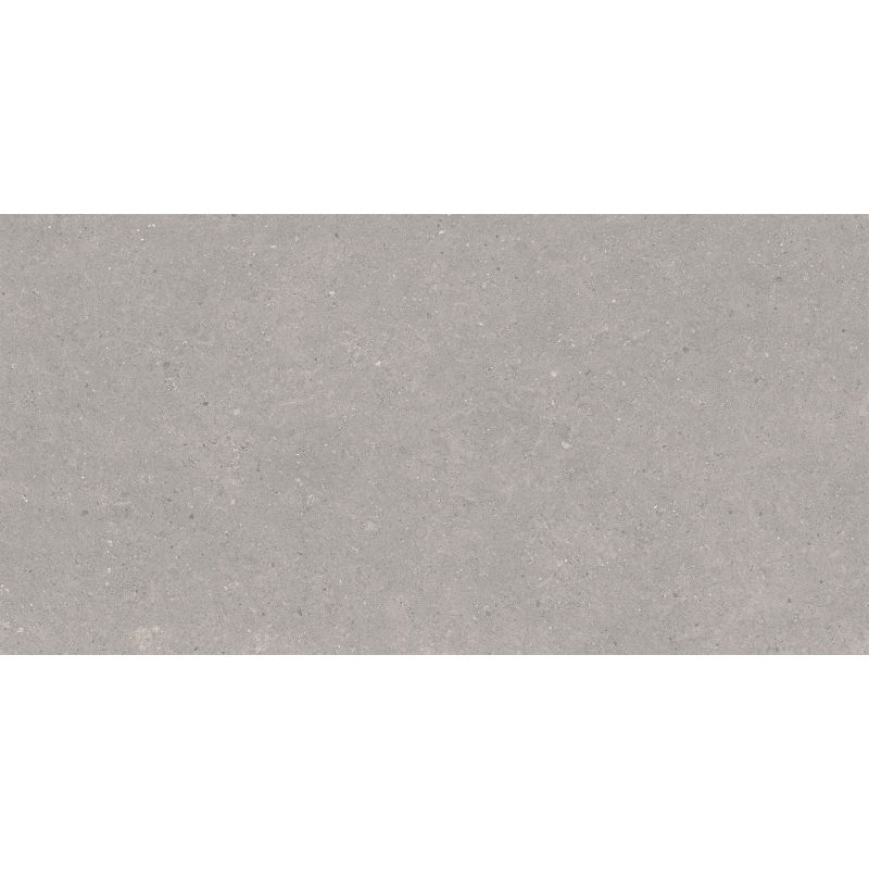Mexen Monaco Grey grès émaillé rectifié G1, carreau sol-mur 120 x 60 cm, mat - TL313-120-060-02