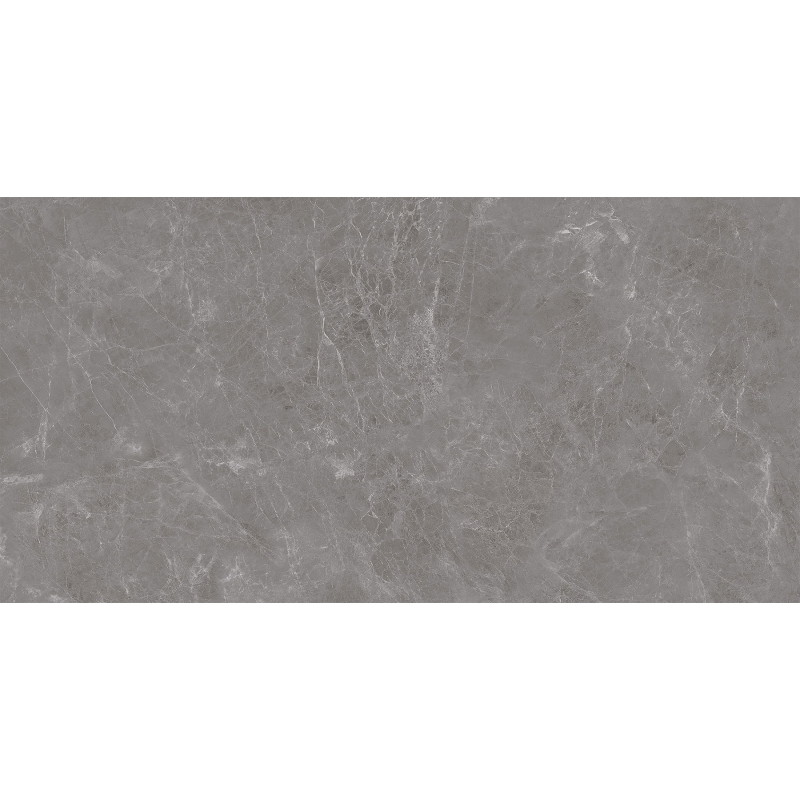 Mexen Runa Grès gris émaillé rectifié G1, carreau sol-mur 120 x 60 cm, mat - TL323-120-060-01