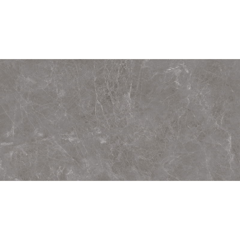 Mexen Runa Gris carreau céramique émaillé rectifié G1, carreau sol-mur 120 x 60 cm, mat - TL323-120-060-01