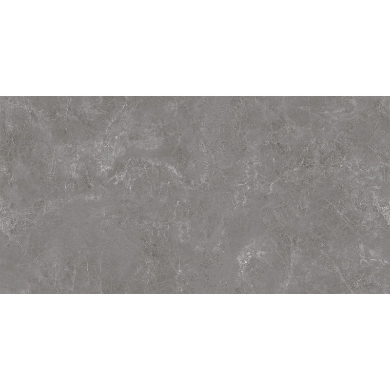 Mexen Runa Grès gris émaillé rectifié G1, carreau sol-mur 120 x 60 cm, mat - TL323-120-060-01