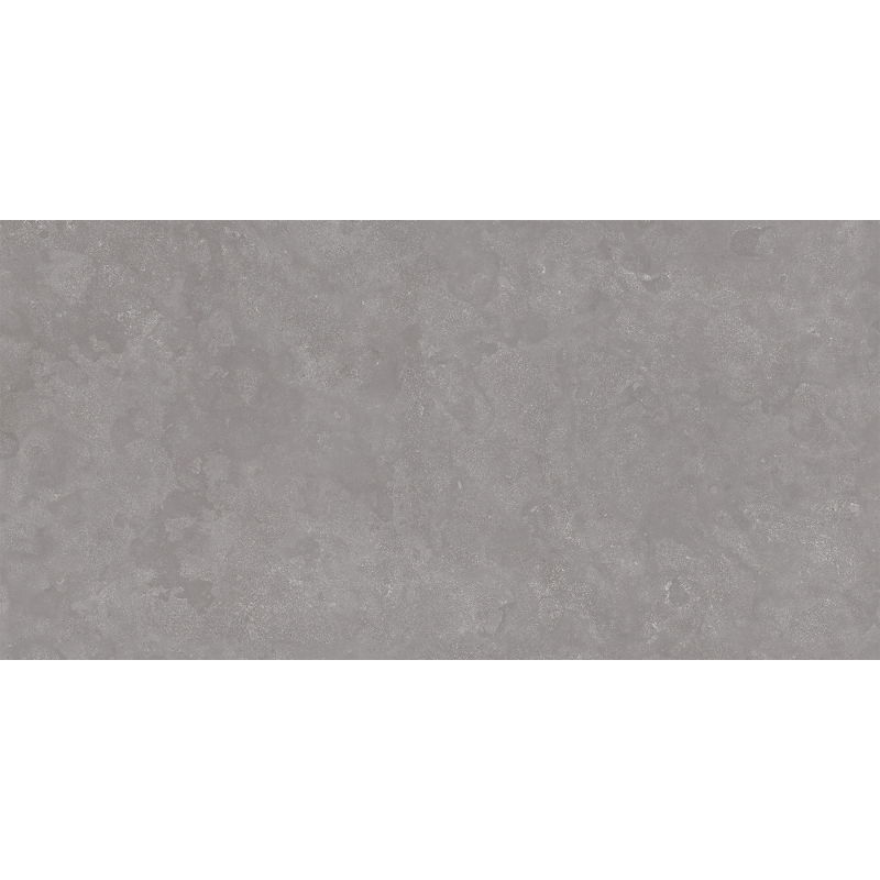Mexen Sparkle Gris grès émaillé rectifié. G1, carreaux de sol et mur 120 x 60 cm, mat - TL338-120-060-01
