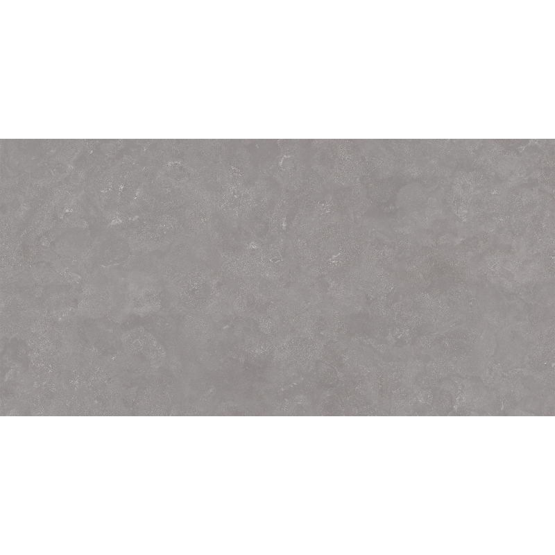 Mexen Sparkle Gris grès émaillé rectifié. G1, carreaux de sol et mur 120 x 60 cm, mat - TL338-120-060-01